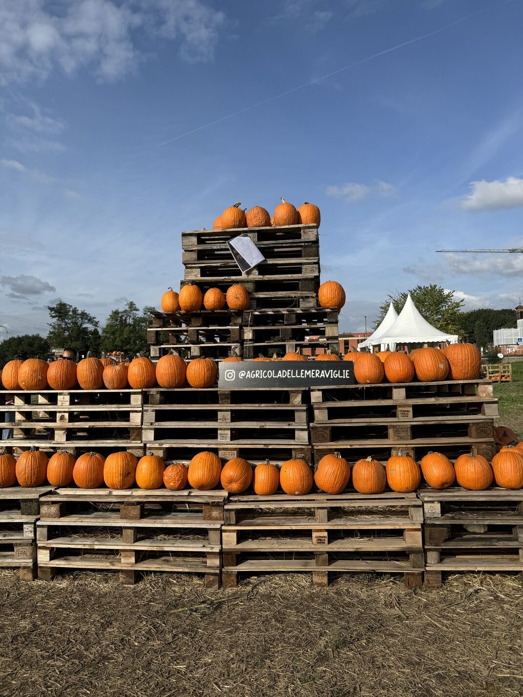 pumpiking field in vimodrone steflor
