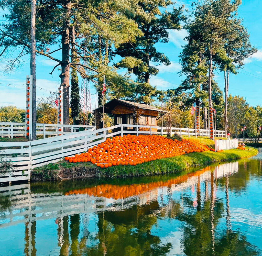 a pumpkin patch on the lake American style