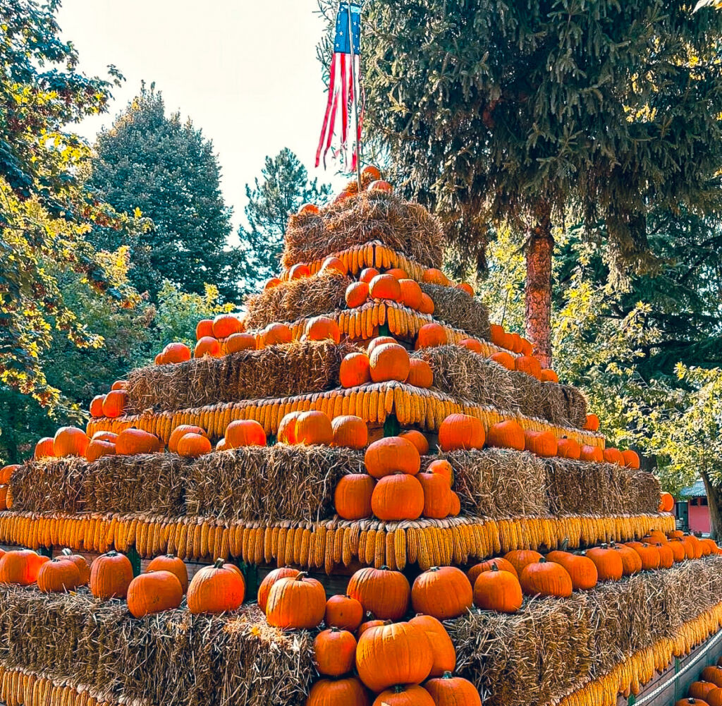 a tower of ornamental pumpkins
